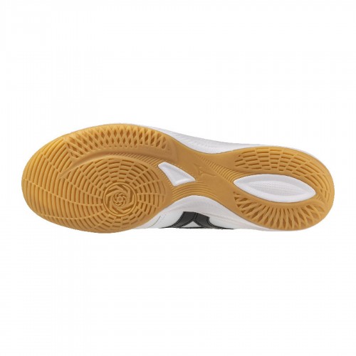 Mizuno Morelia Elite, FUTSAL